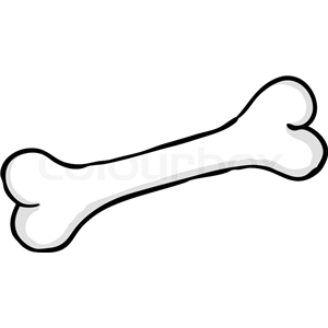 Bone PNG-46821